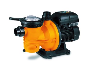 DPL750 0.75kW Pool Pump
