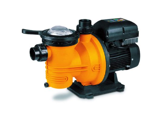 DPL1100 1.1kW Pool Pump